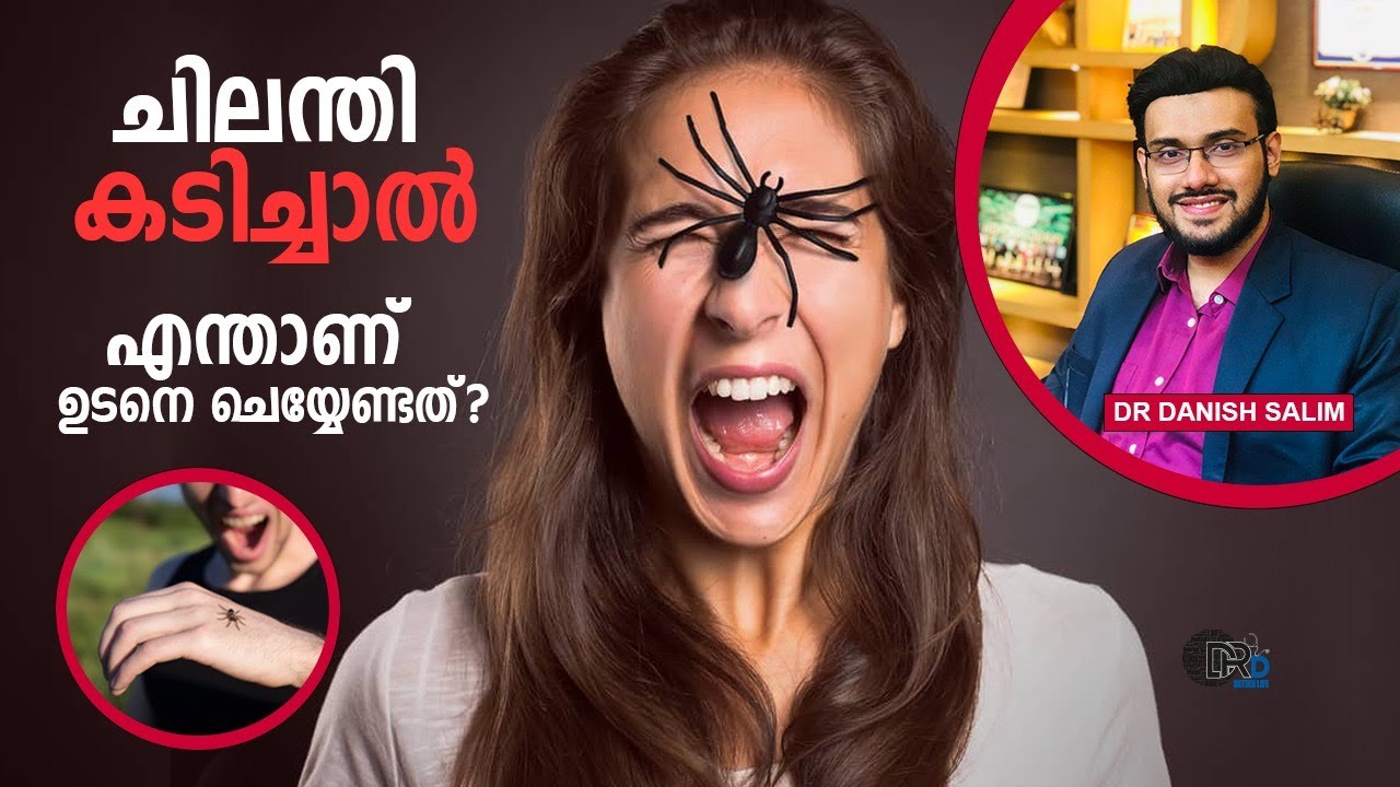 1246:🕷️ചിലന്തി കടിച്ചാൽ എന്തൊക്കെ ലക്ഷണങ്ങൾ ആണ്? എന്താണ് ഉടനെ ചെയ്യേണ്ടത്? | Spider bite