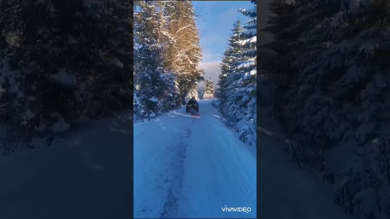 De la sanie la atv pe zăpadă