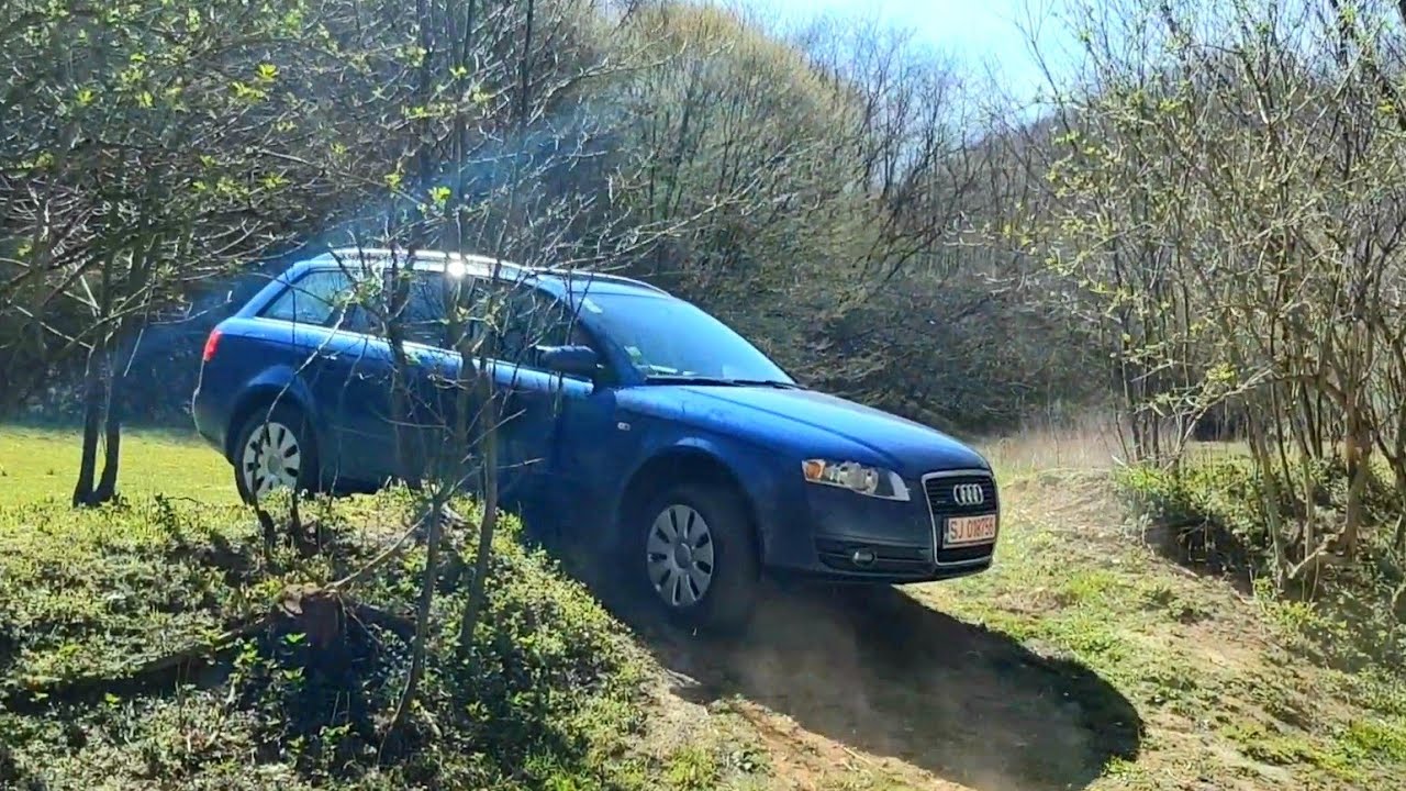 Audi 4x4 Quattro on forest road 😎🏞