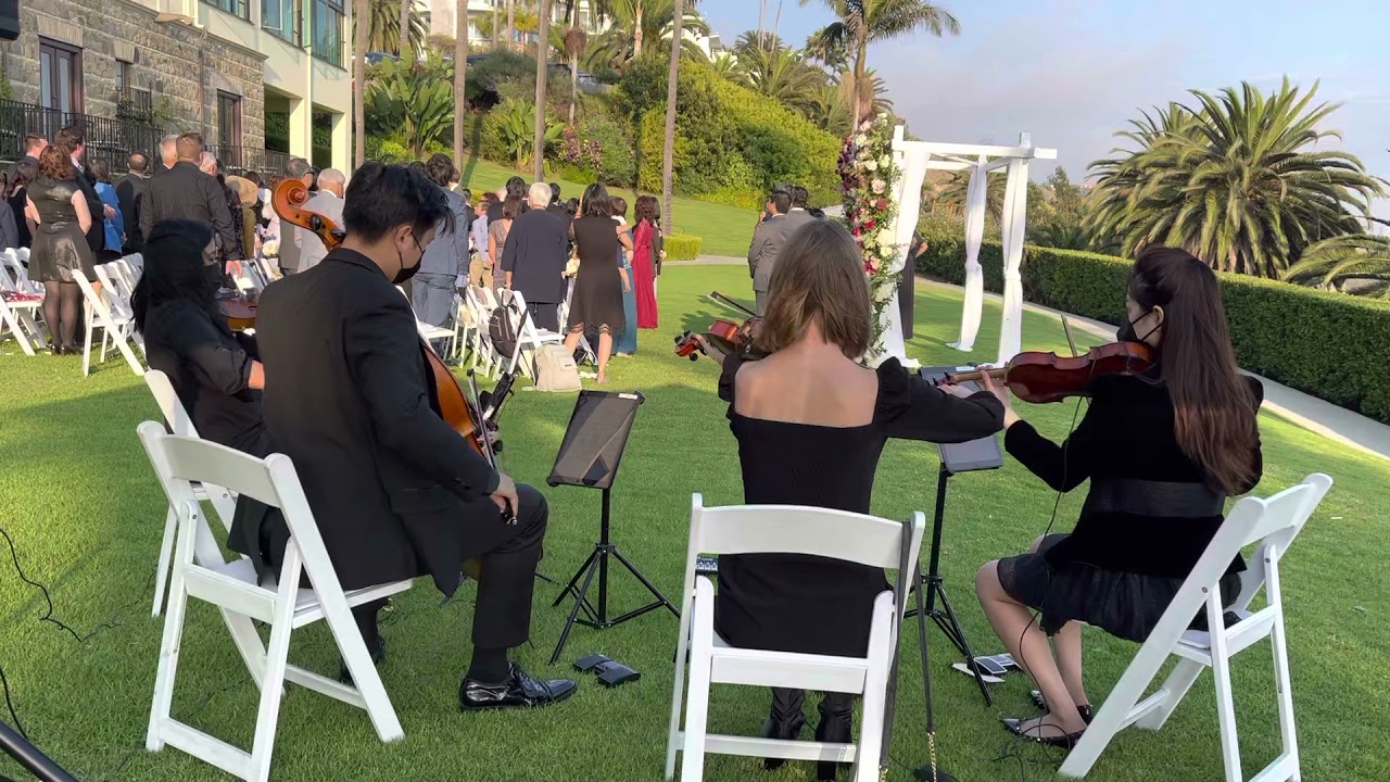 Wedding March / Bridal Chorus by Wagner “Here Comes the Bride” for string quartet at a wedding live