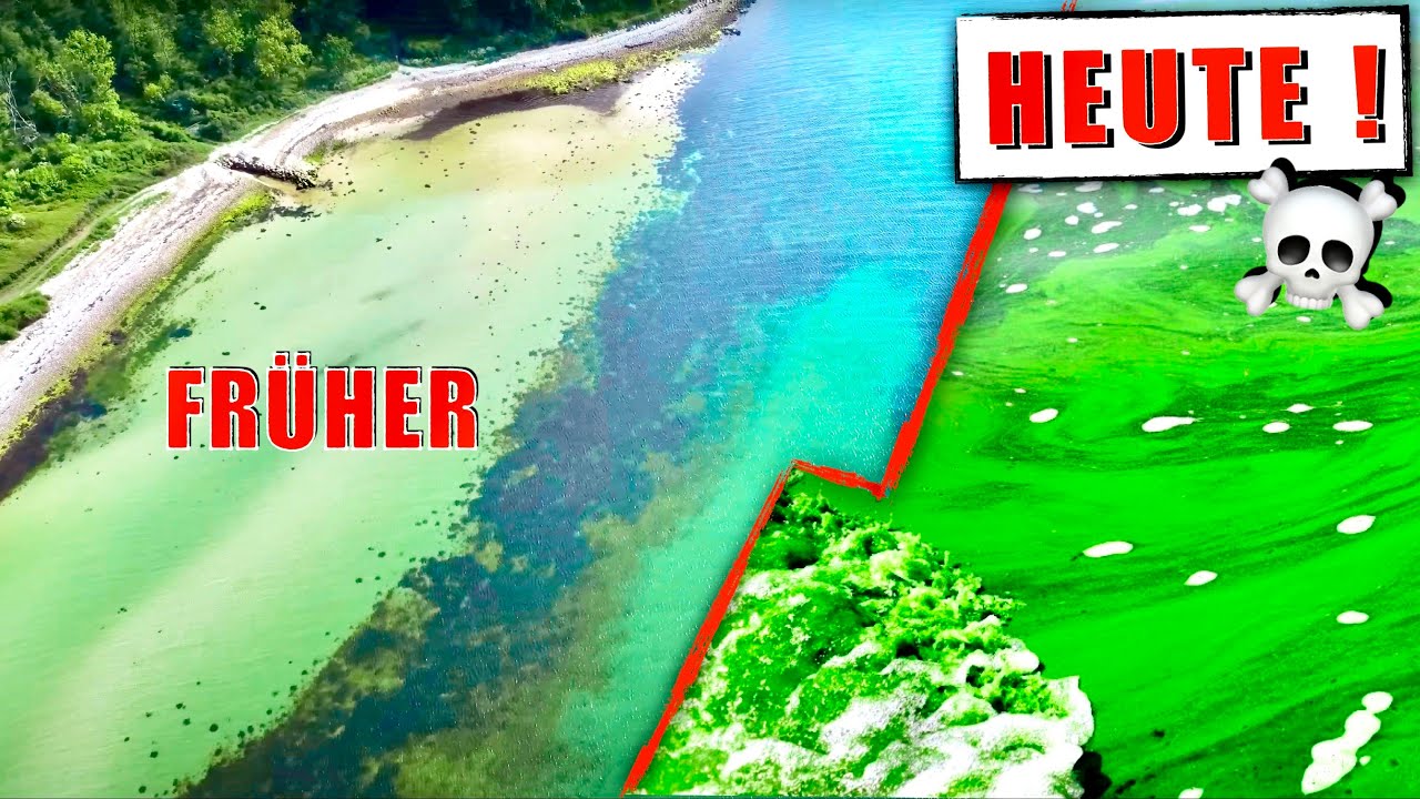 Ist die Ostsee Tot? ...Das müssen Angler Wissen!!