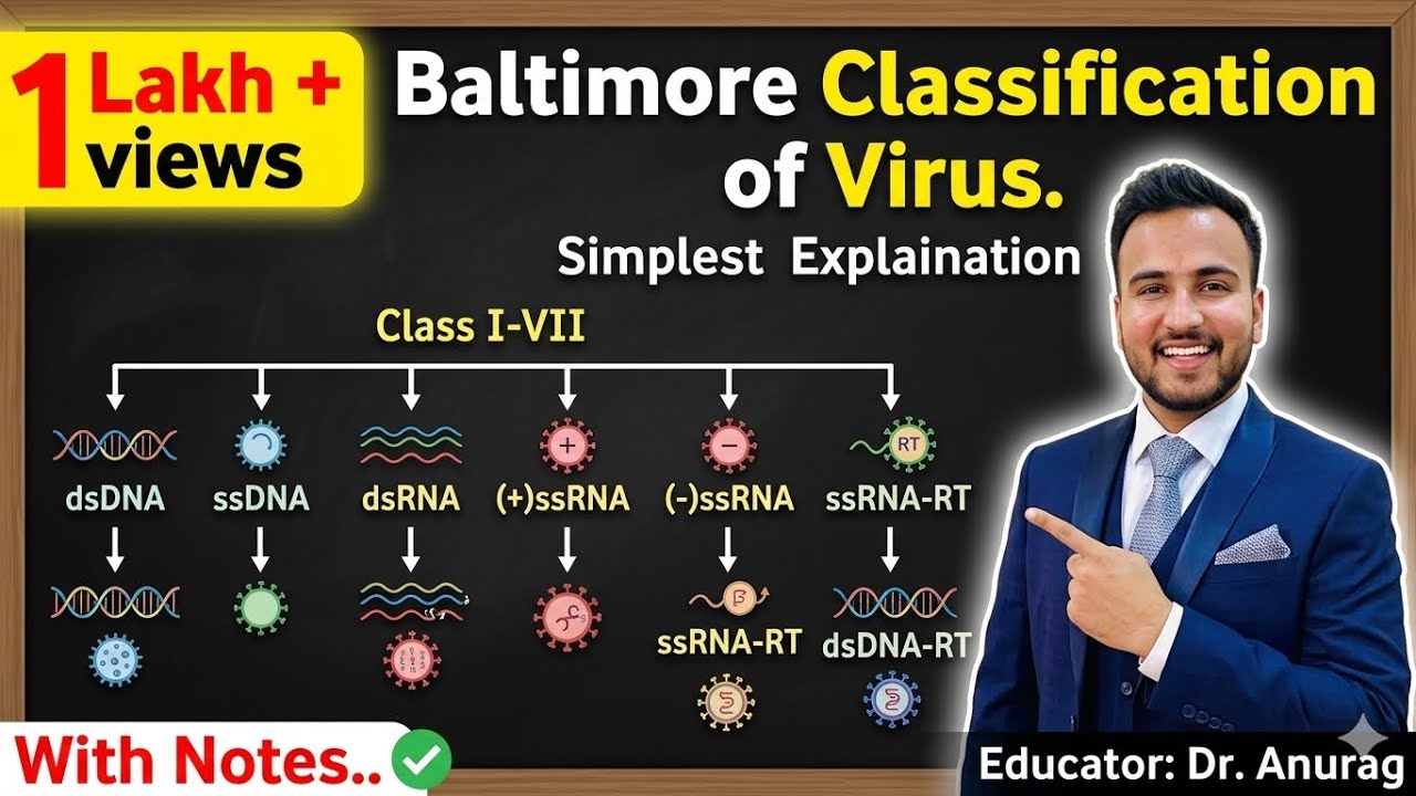 BALTIMORE CLASSIFICATION OF VIRUS // CLASSIFICATION OF VIRUS