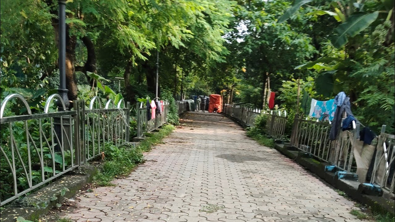 একজন গৃহবধূ বাড়ির সব দিক সামলে নিজেকেও ভালো রাখার চেষ্টা চালিয়ে যাচ্ছি প্রকৃতির মাঝে হারিয়ে যাবো