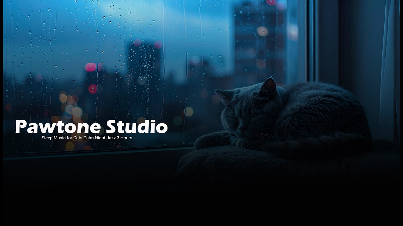 Sleep Music for Cats 🐾 Calm Night Jazz 3 Hours