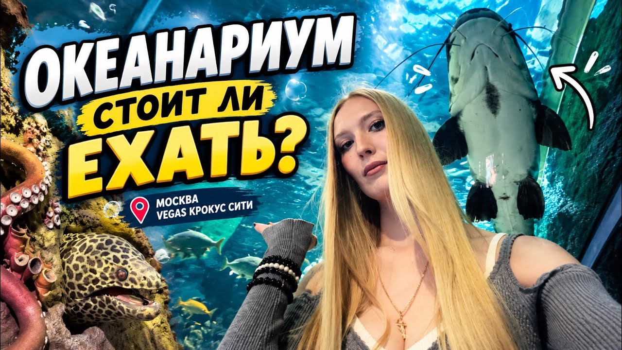 Полный лайф обзор VEGAS Крокус Сити Океанариум. Куда сходить в Москве 2026?