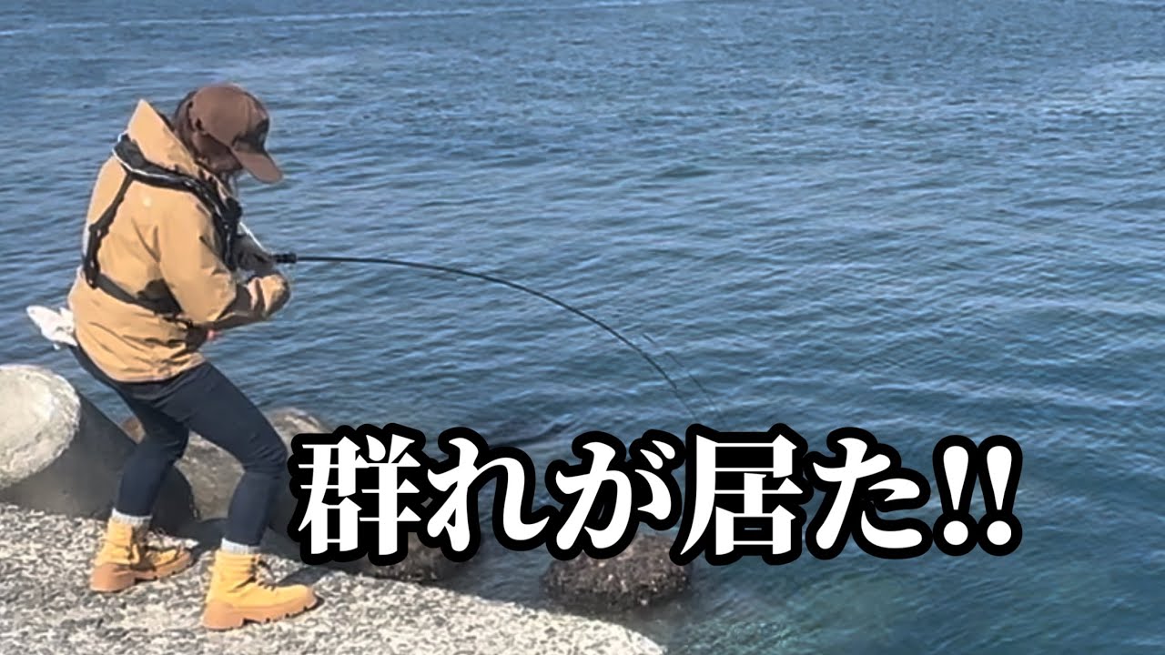 岩内方面に行ったら、群れが居た