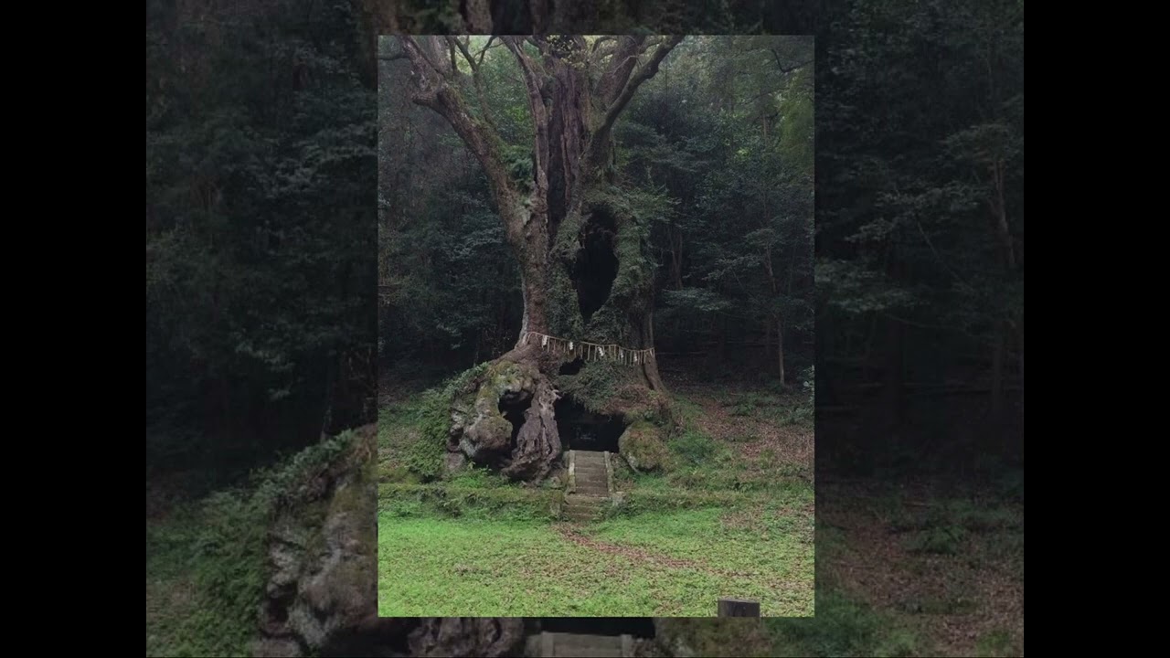 Cottagecore + Fantasy audios/playlist!! 🍄🕰️