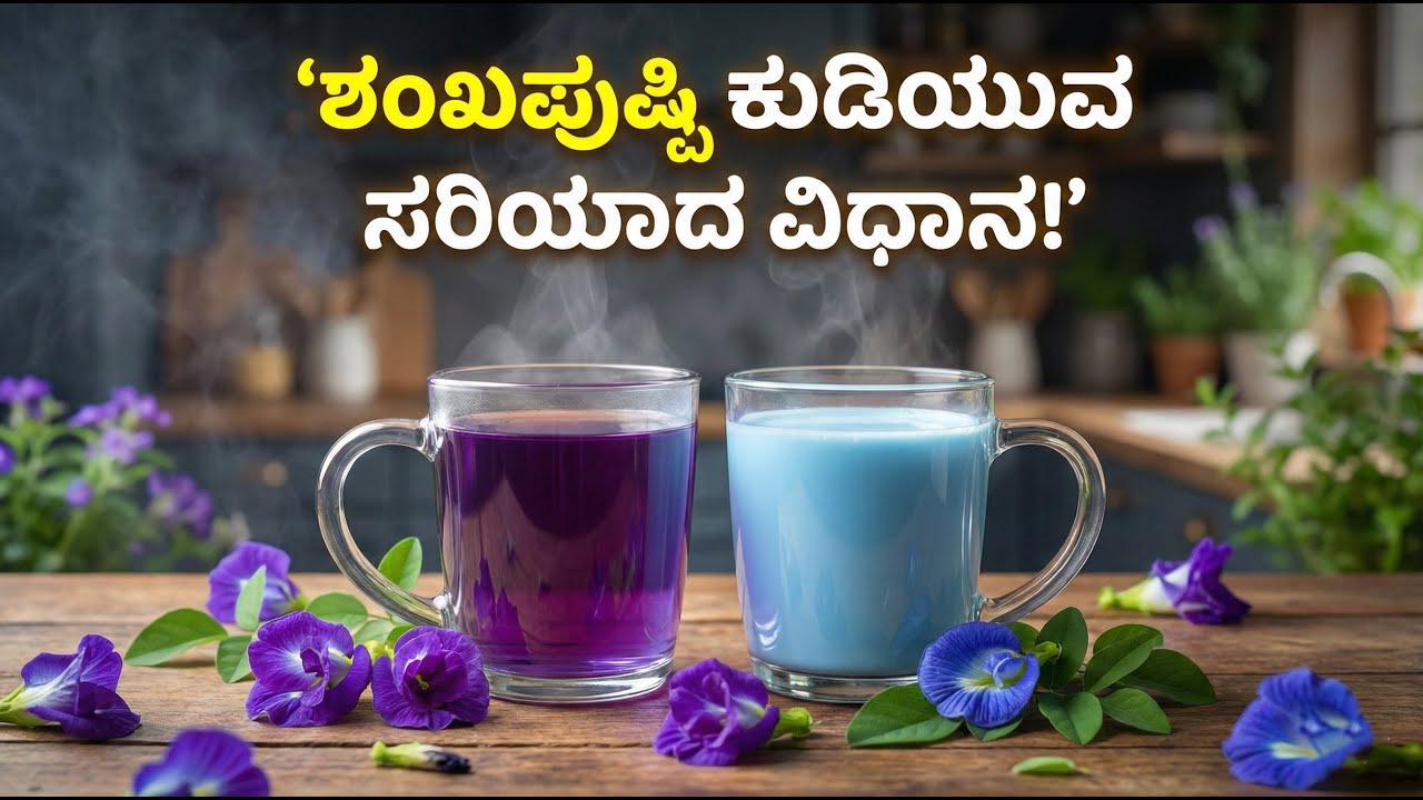 ಶಂಖಪುಷ್ಪಿಯನ್ನು ಹೇಗೆ ಕುಡಿಯಬೇಕು? ಸರಿಯಾದ ಉಪಯೋಗ! | Food Media