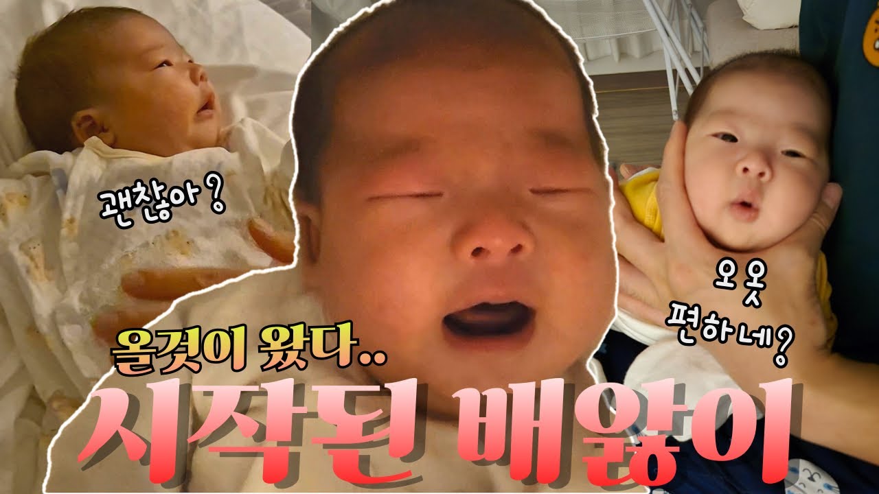[VLOG] 배앓이 시작, 방법을 찾아보는데..