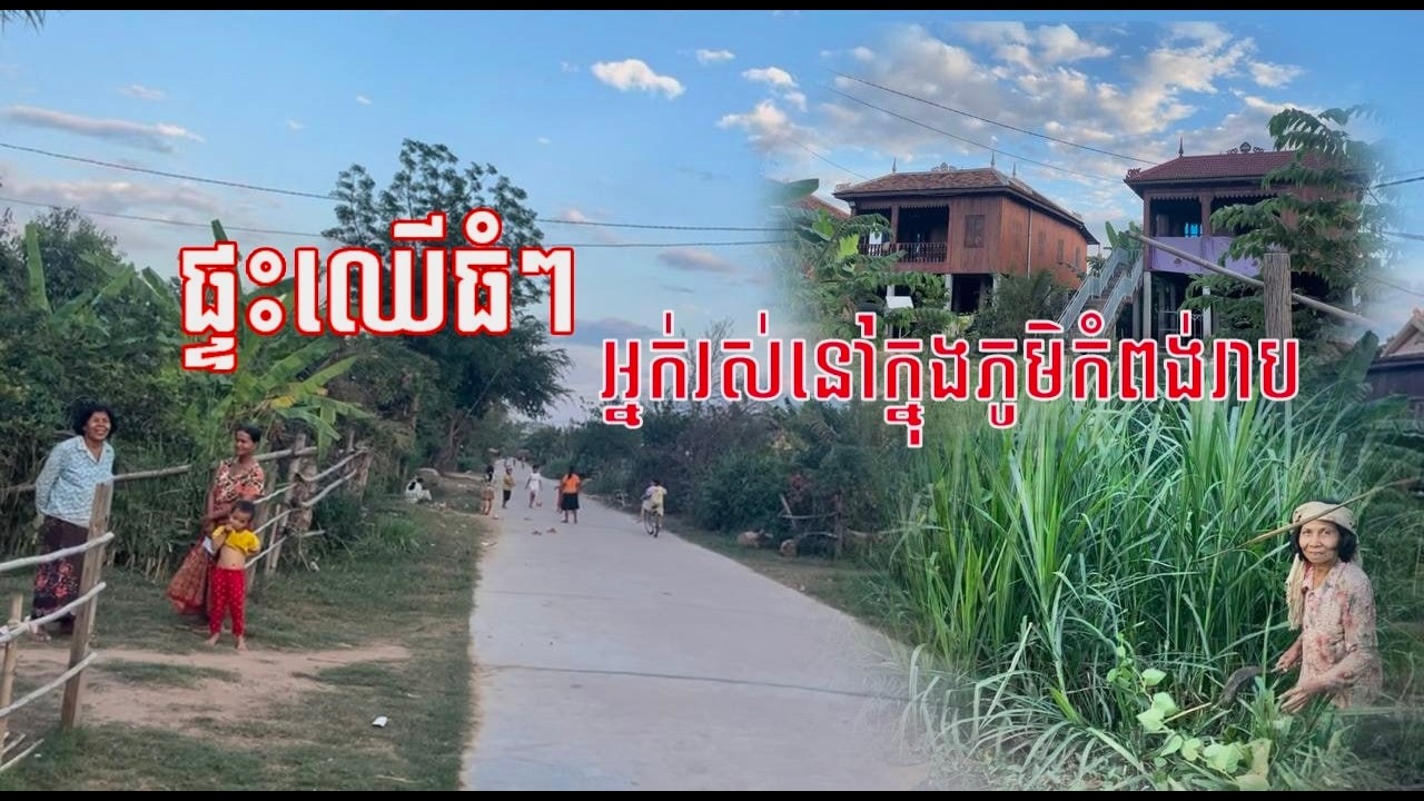 ផ្ទះឈេីធំៗស្អាត បងប្អូនរស់នៅតាមស្រុកភូមិ