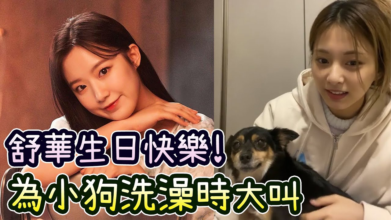 Twice子瑜對舒華的生日祝福 為小狗洗澡時覺得煩躁而大叫