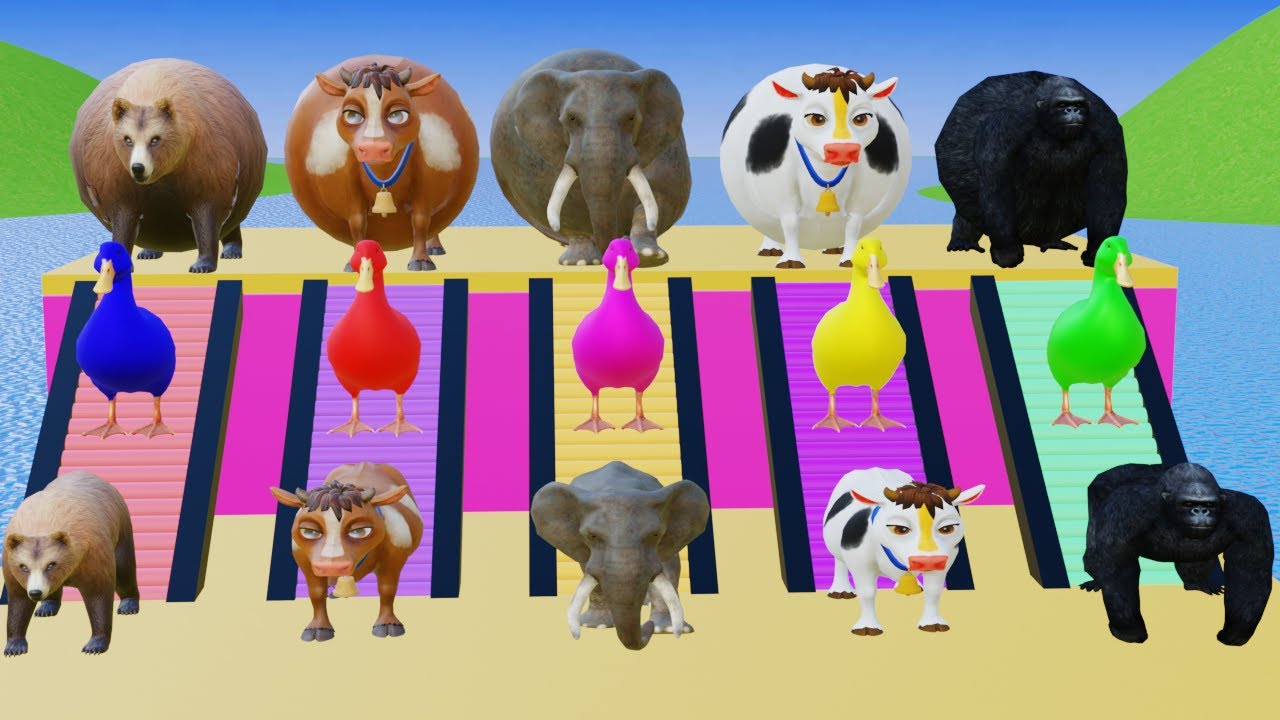 Long Slide Game With Cow Elephant Gorilla Hippopotamus Tiger 3d Animal Game Funny 3d Animals