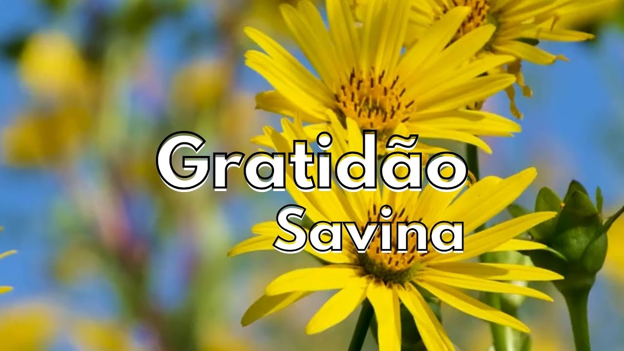 Gratidão, Savina!