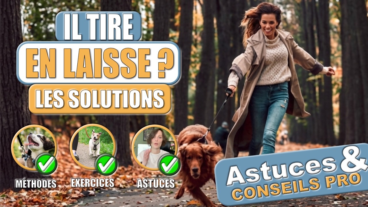 La marche en laisse/Chien qui tire en laisse/Ma solution avec Iska