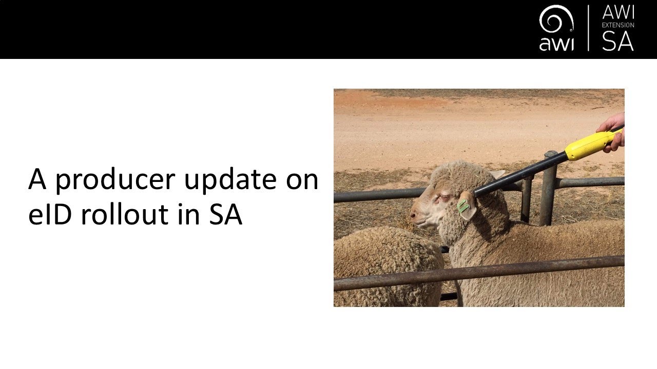 Producer update III on eID rollout in SA  with Jodie Reseigh-O'Brien and Tara Vandeleur