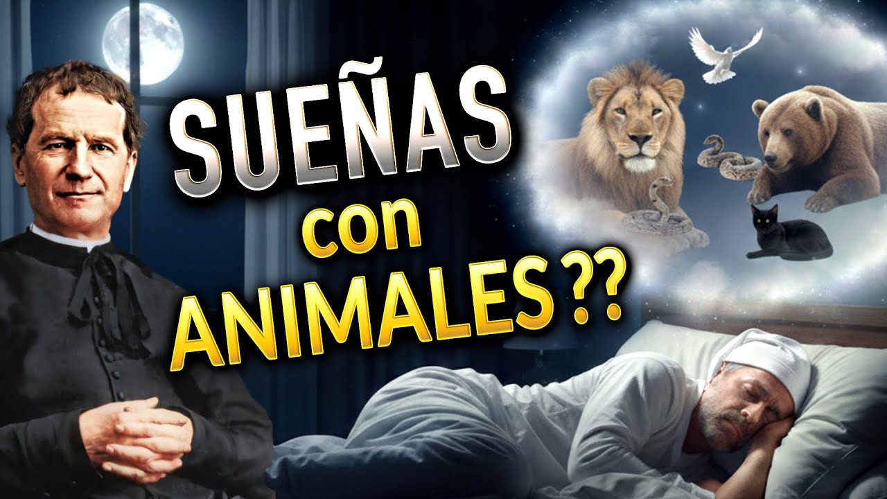 Reveladores Sueños de San Juan Bosco - Te Sorprenderá! | Podcast Salve María 245