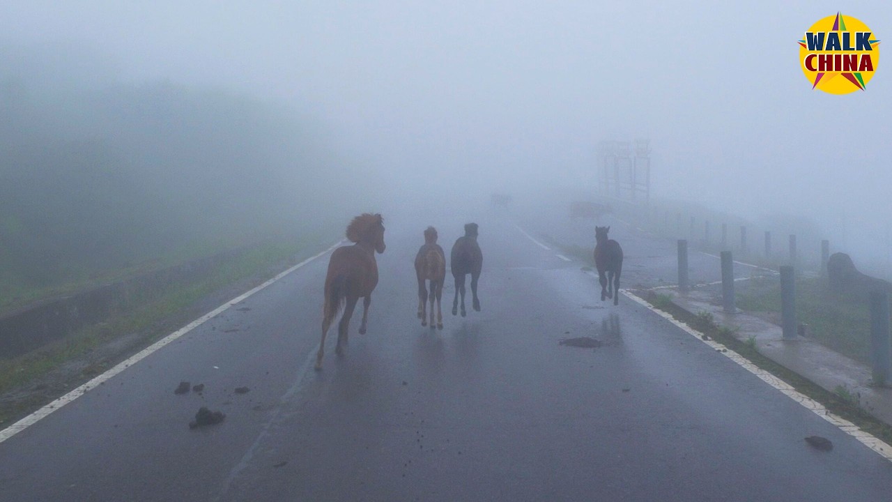 🌫️ 