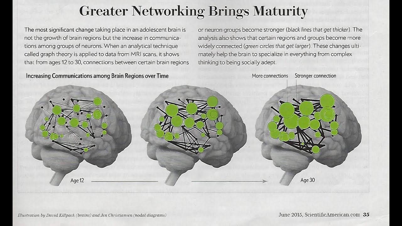 Why Teenagers Have Amazing Brains: Science, Growth & Development Explained | Video 3