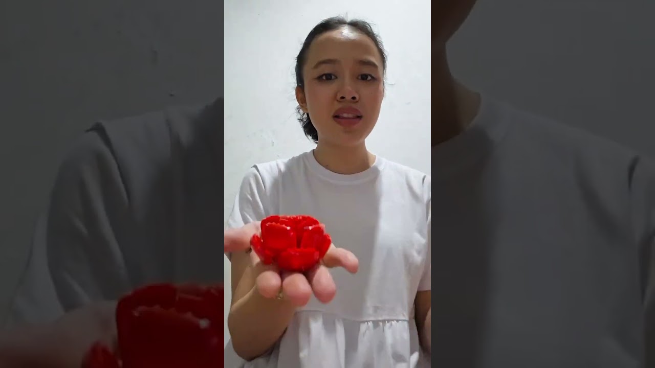 RAKIT LEGO MAWAR?!!!⚘️🌹❤️ | Clara Velisya Nursandhini | 31 January 2026