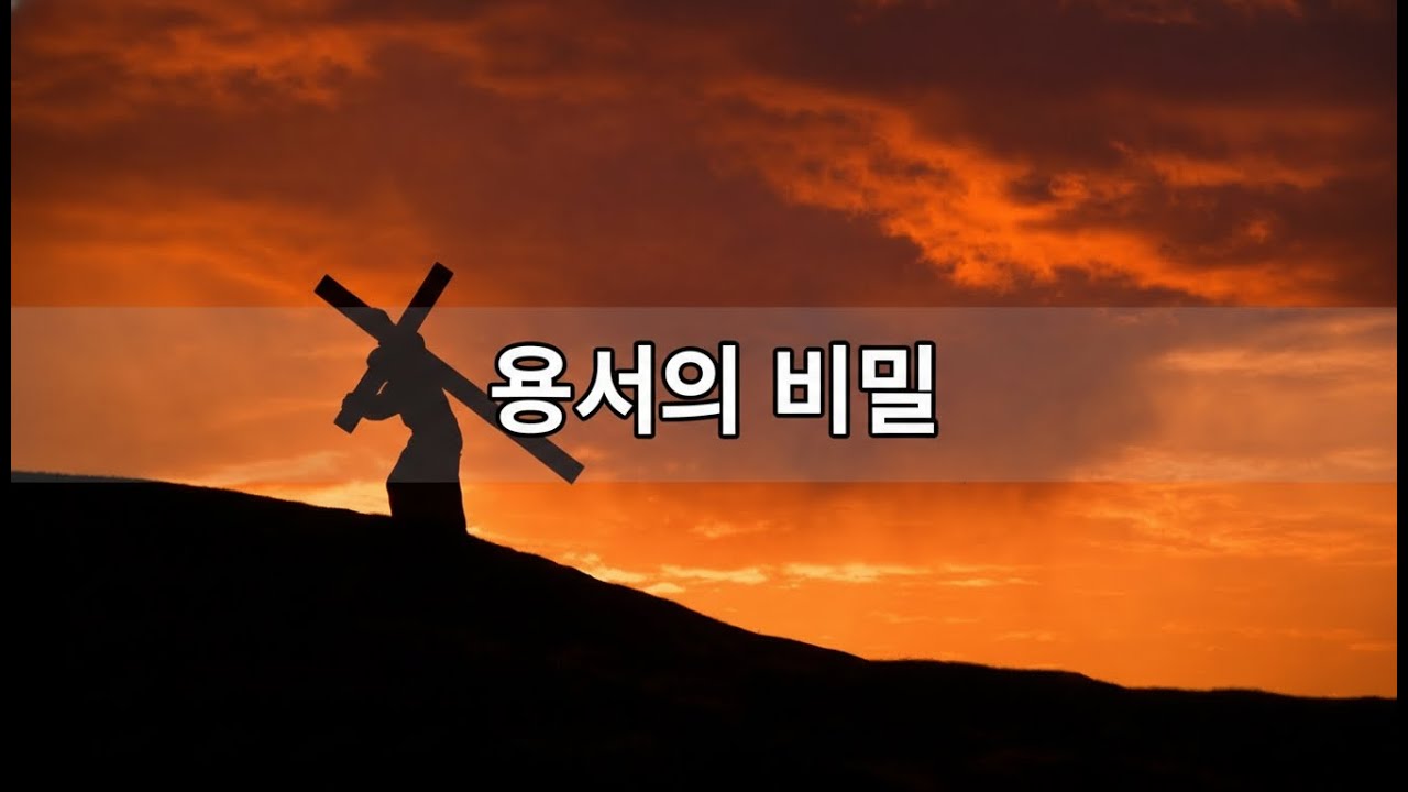 용서의 비밀 | 내가 용서할 수 있었던 이유(1곡 듣기)