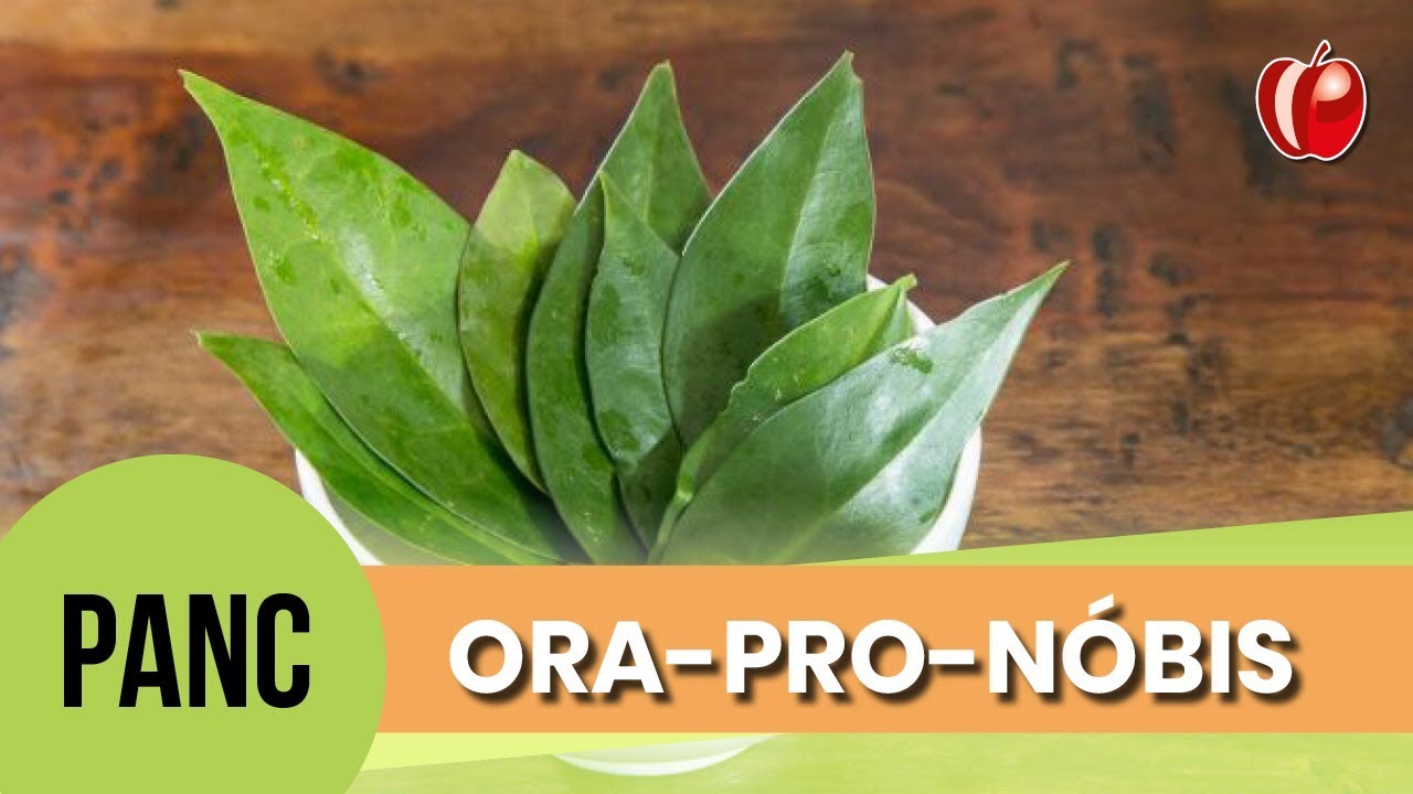 Ora-pro-nóbis | Conhecendo as PANC | Receita de Nhoc Sem Glúten| VP Nutrição Funcional