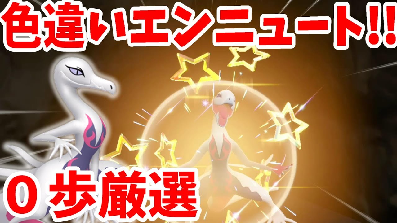 【ポケモンSV】激レア色違いのエンニュートがついにー！！メスしか進化しない特殊ポケモン【ポケモンスカーレットバイオレット・ゼロの秘宝】