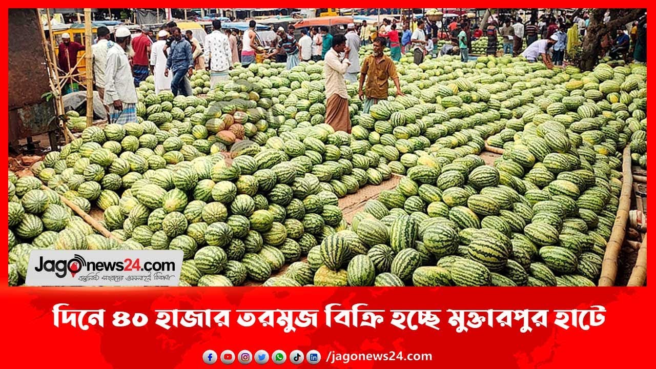 দিনে ৪০ হাজার তরমুজ বিক্রি হচ্ছে মুক্তারপুর হাটে || Jago News