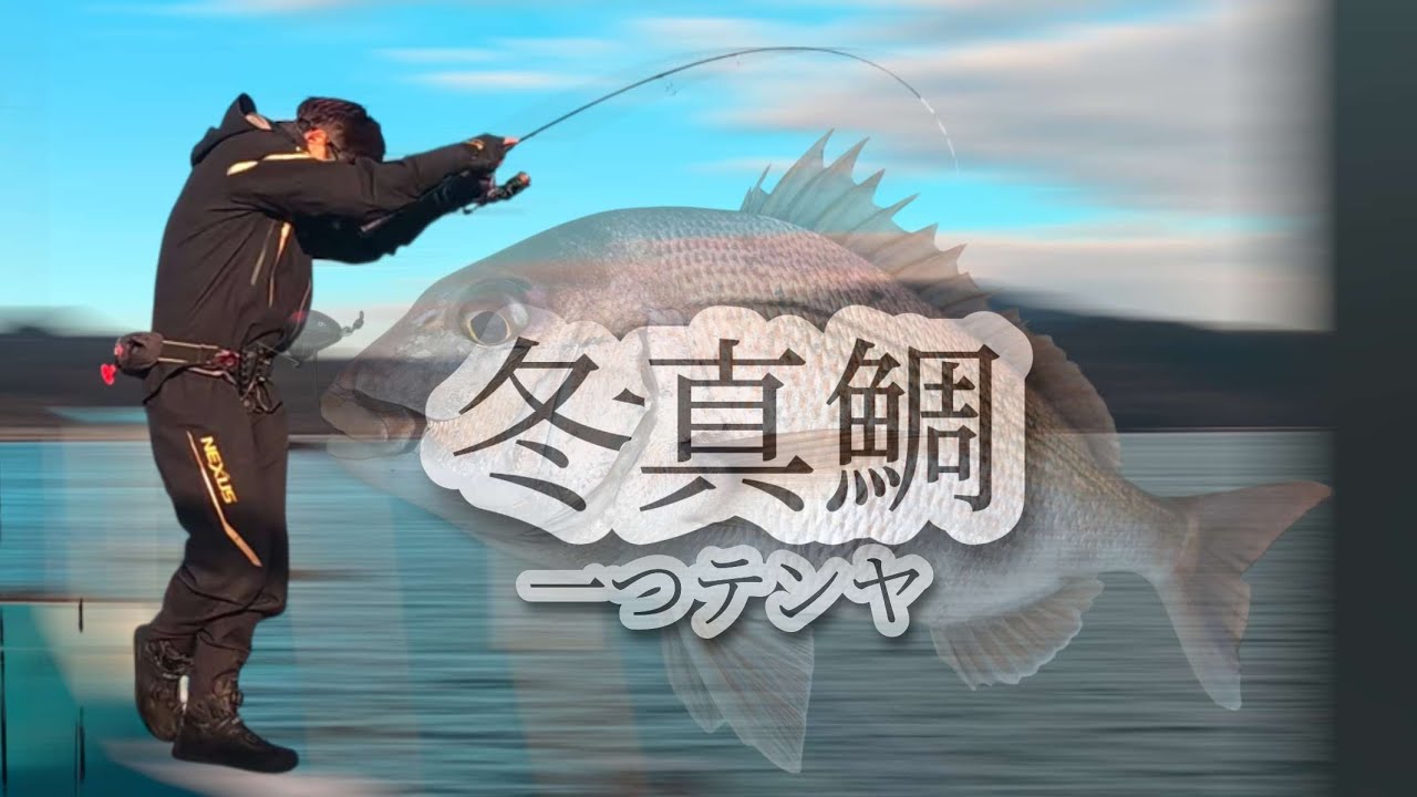 冬真鯛～ 瀬戸内一つテンヤ～