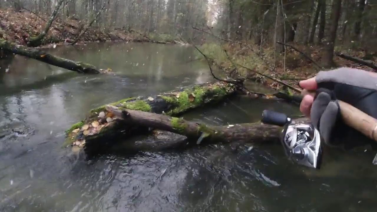 #216 Мормышинг | Разведка нового ручья | Ручьевая форель |