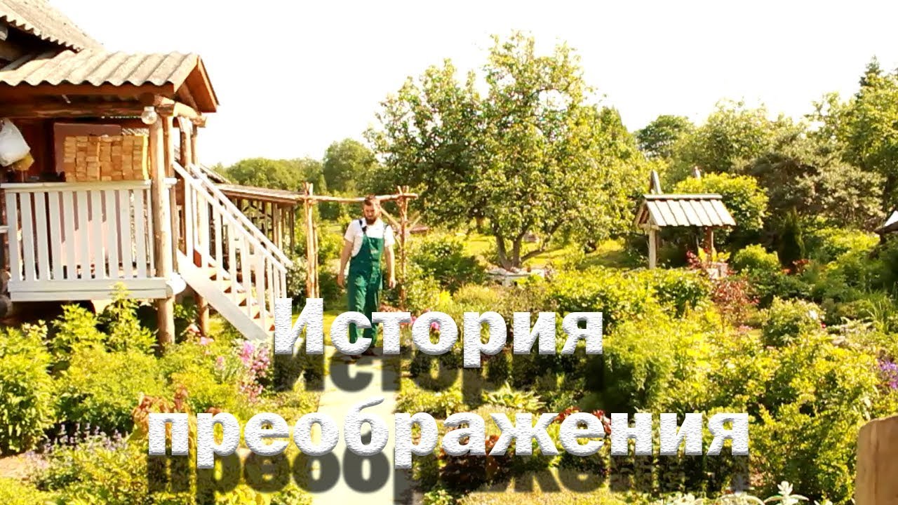 До и после. Как изменился наш участок за 4 года?