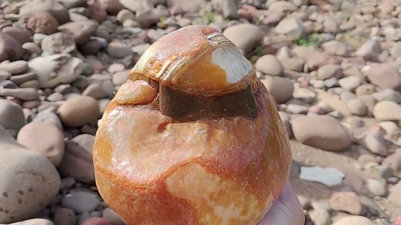 Olha que pedra interessante que eu achei.