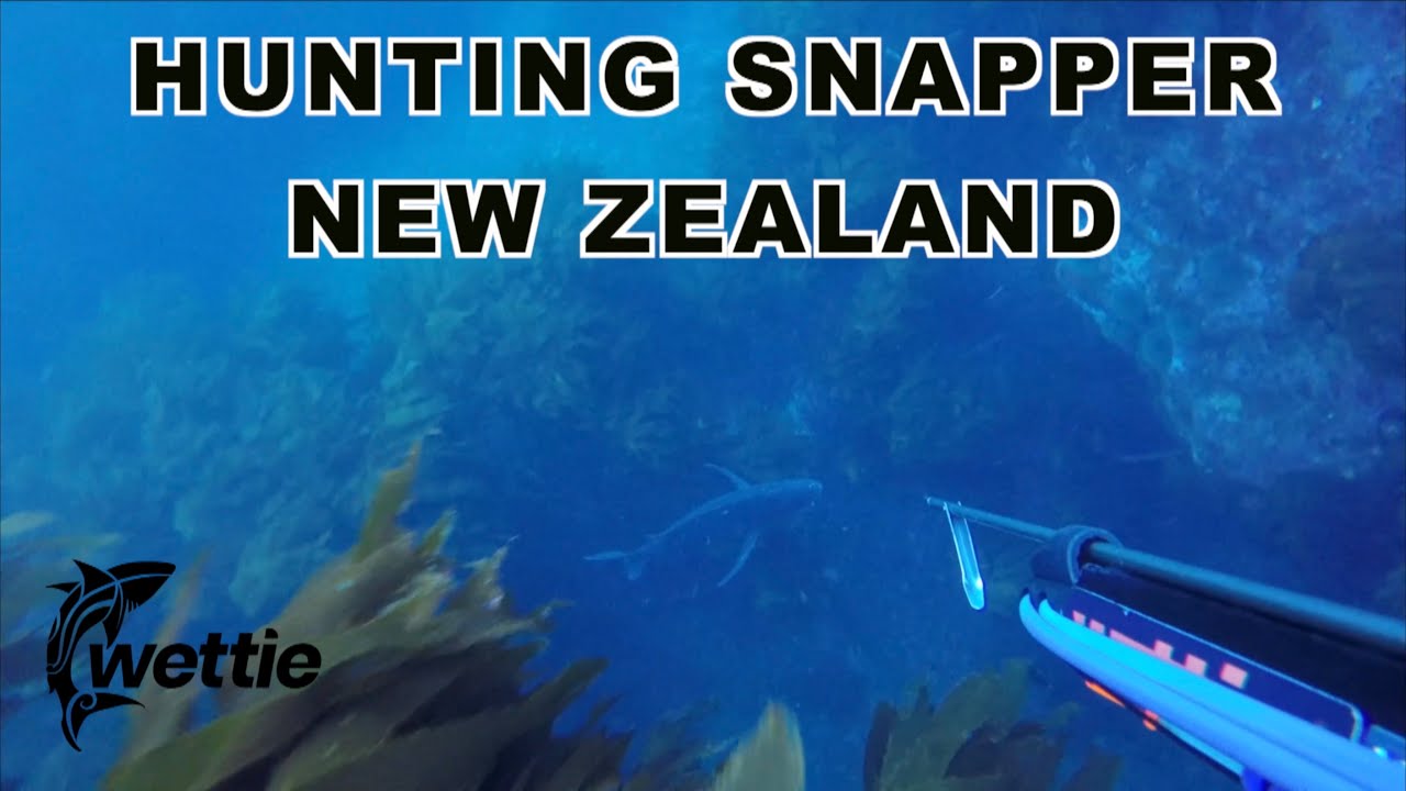 Wettie TV - Hunting Snapper in New Zealand