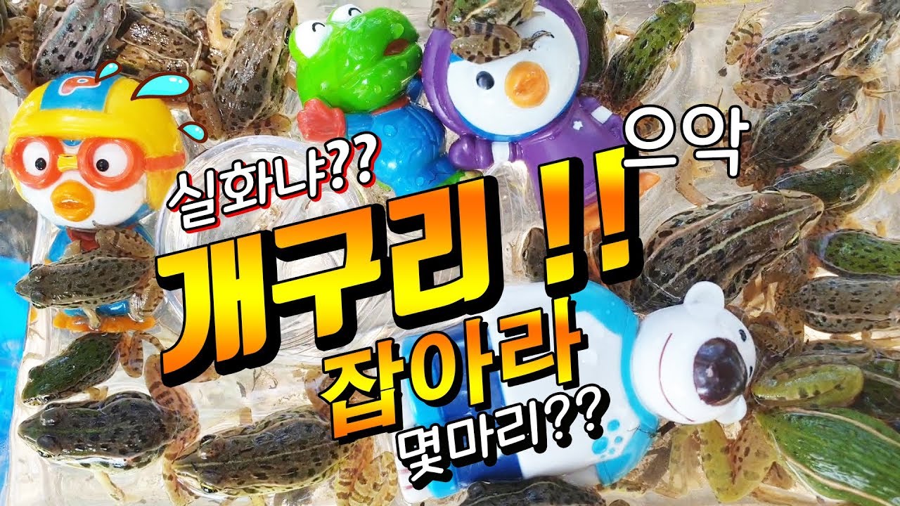 개구리채집편! 뽀로로와 친구들이 시골에서 개구리 100마리를 잡았어요!! 여름방학특집 (참개구리, 청개구리등)  |꿈토이| 제36화