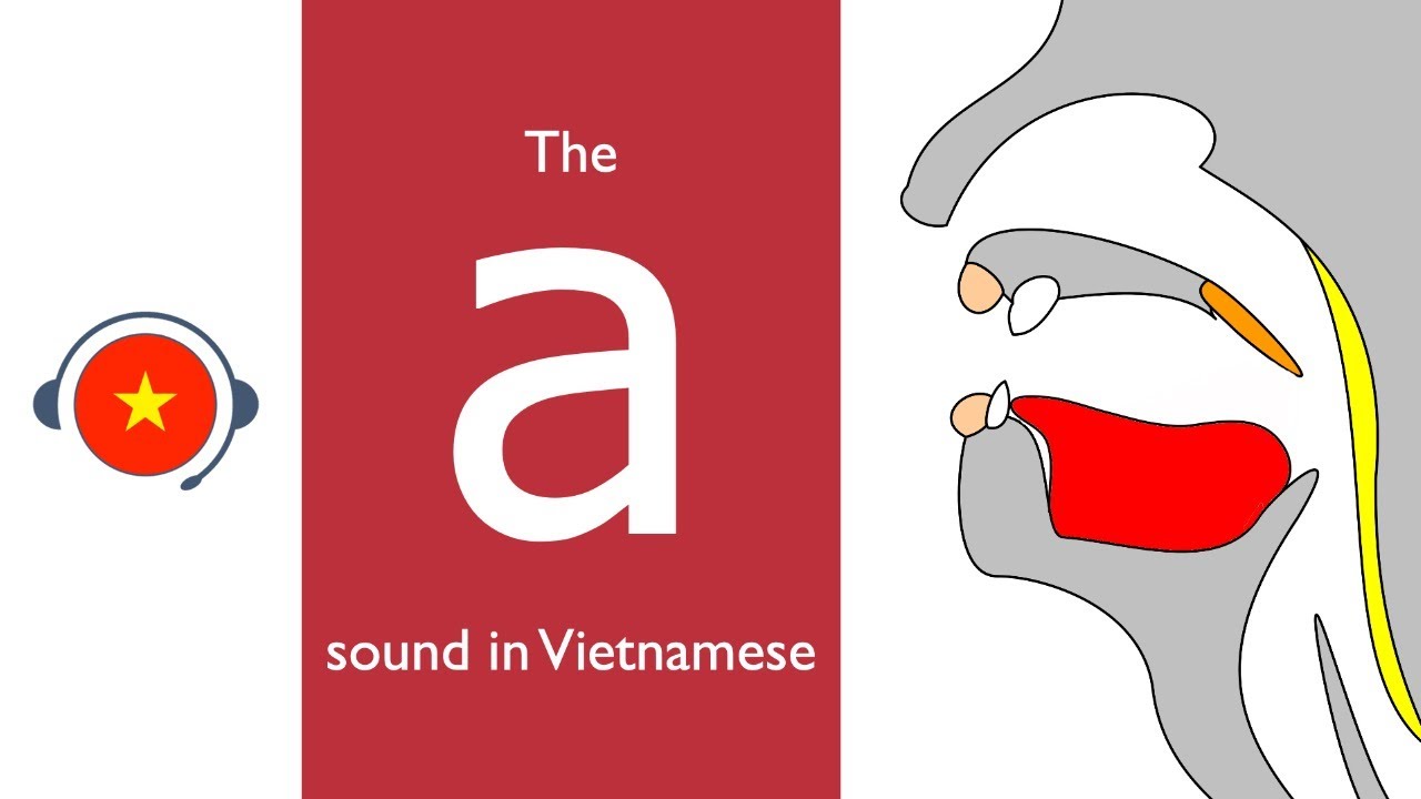 🇻🇳 Vietnamese : a sound. Learn sound system in Vietnamese. Vietsound.