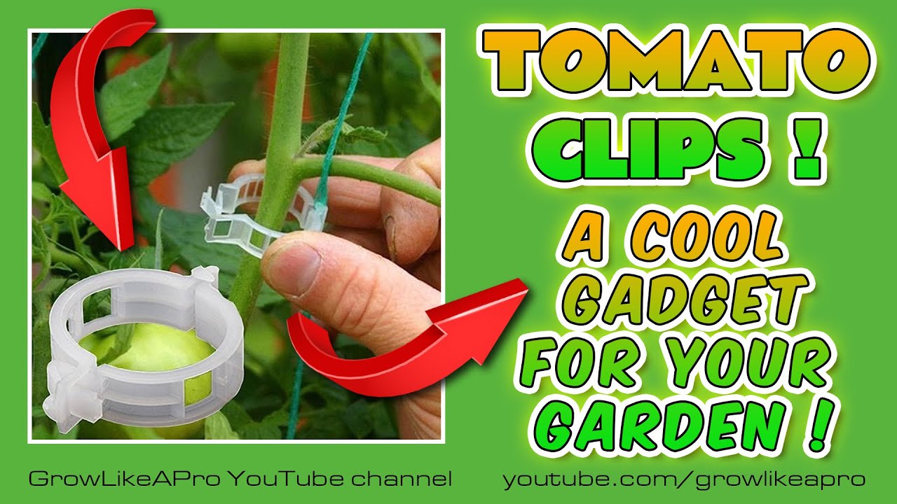 Tomato Clips - A Very Cool Gardening Gadget