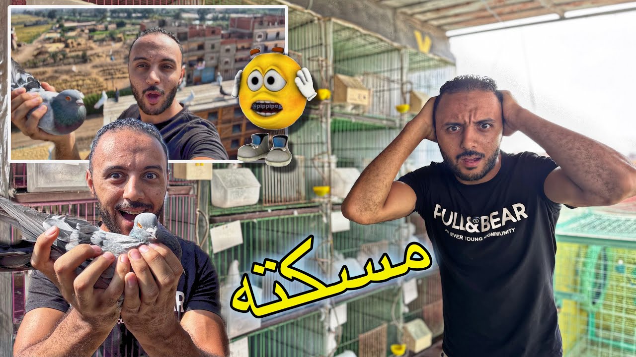سلبيات فتح شبكة الحمام 😱(مسكت حمام غريب )نوعه ايه 🤔