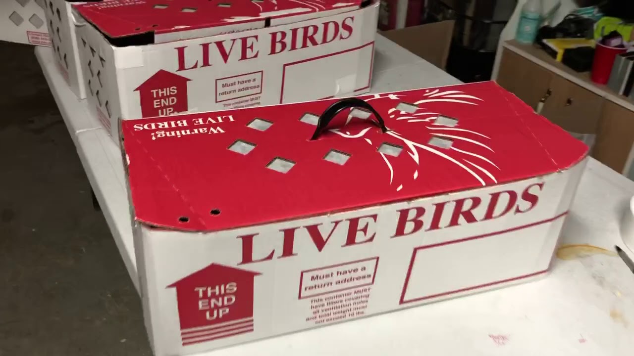 Live Bird Shipping Box Resizing- COST EFFECTIVE!!!
