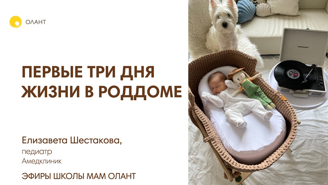 ПЕРВЫЕ ТРИ ДНЯ ЖИЗНИ В РОДДОМЕ