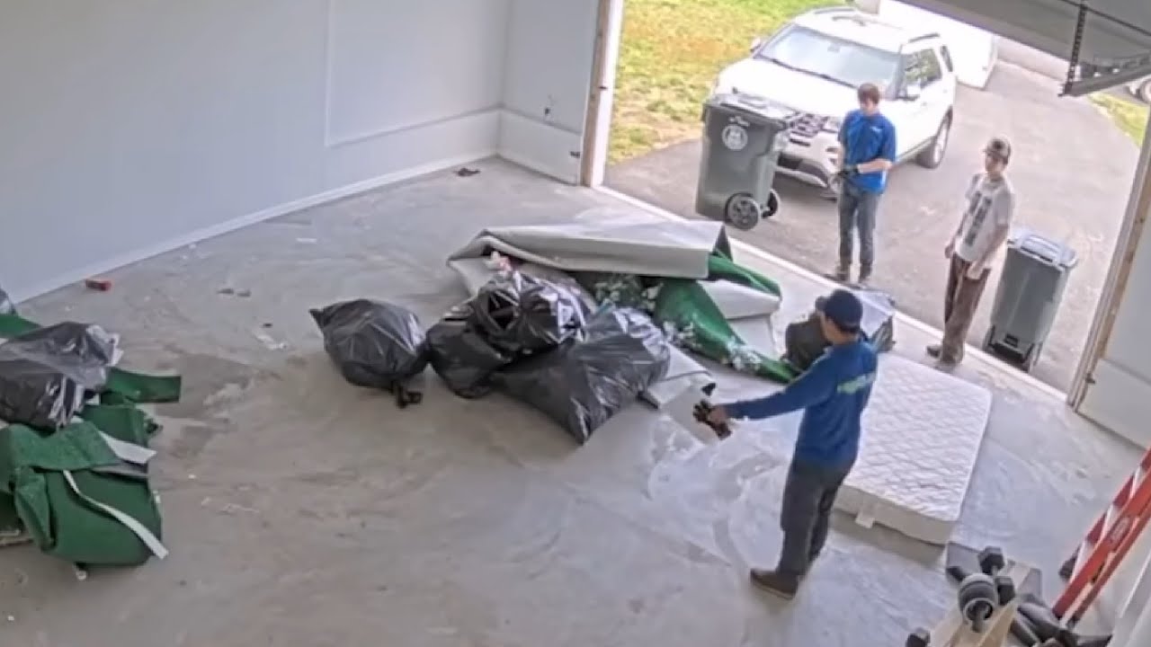 Chat trolls the garbage collectors - Fishtank.live