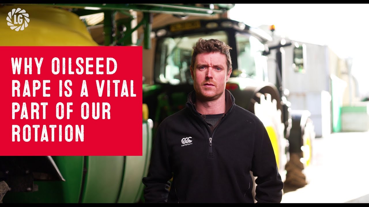 Why oilseed rape is a vital part of our rotation | OSR Grower Robert Fleming | Berwick, UK