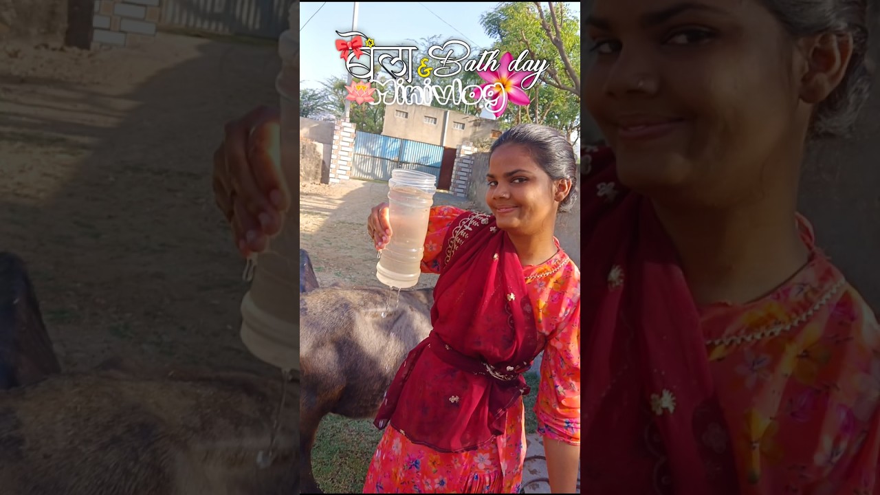 nhayi nhayi vala din ☺️🥳 #minivlog #relatablecontent #adayinmylife