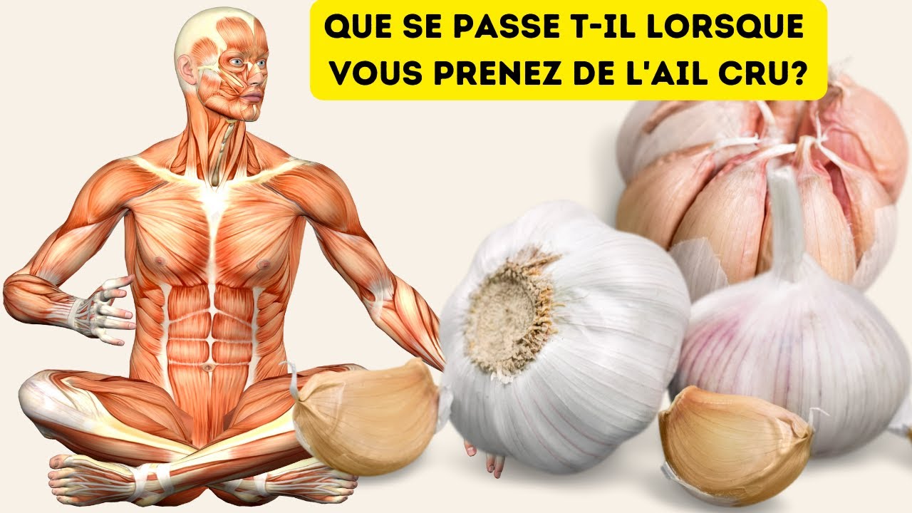 Que se passe t-il lorsque vous prenez de l'ail cru?