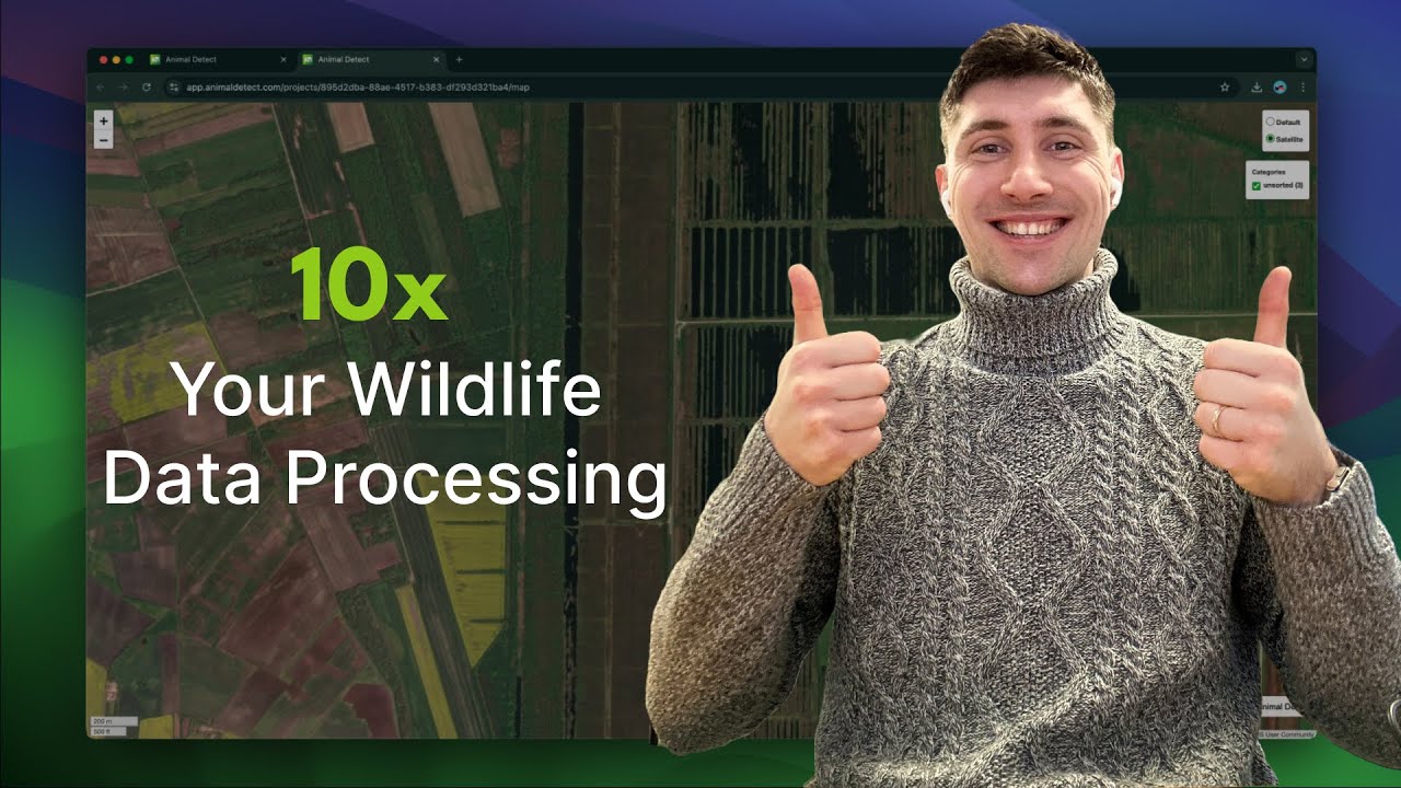 Animal Detect - 10x your wildlife data processing work
