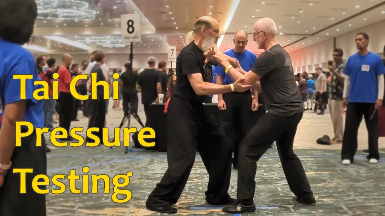 Tai Chi Pressure Testing (2023 International Push Hands Championship)