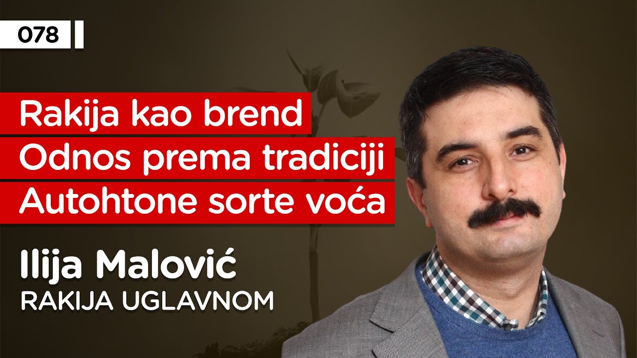 Ilija Malović, 