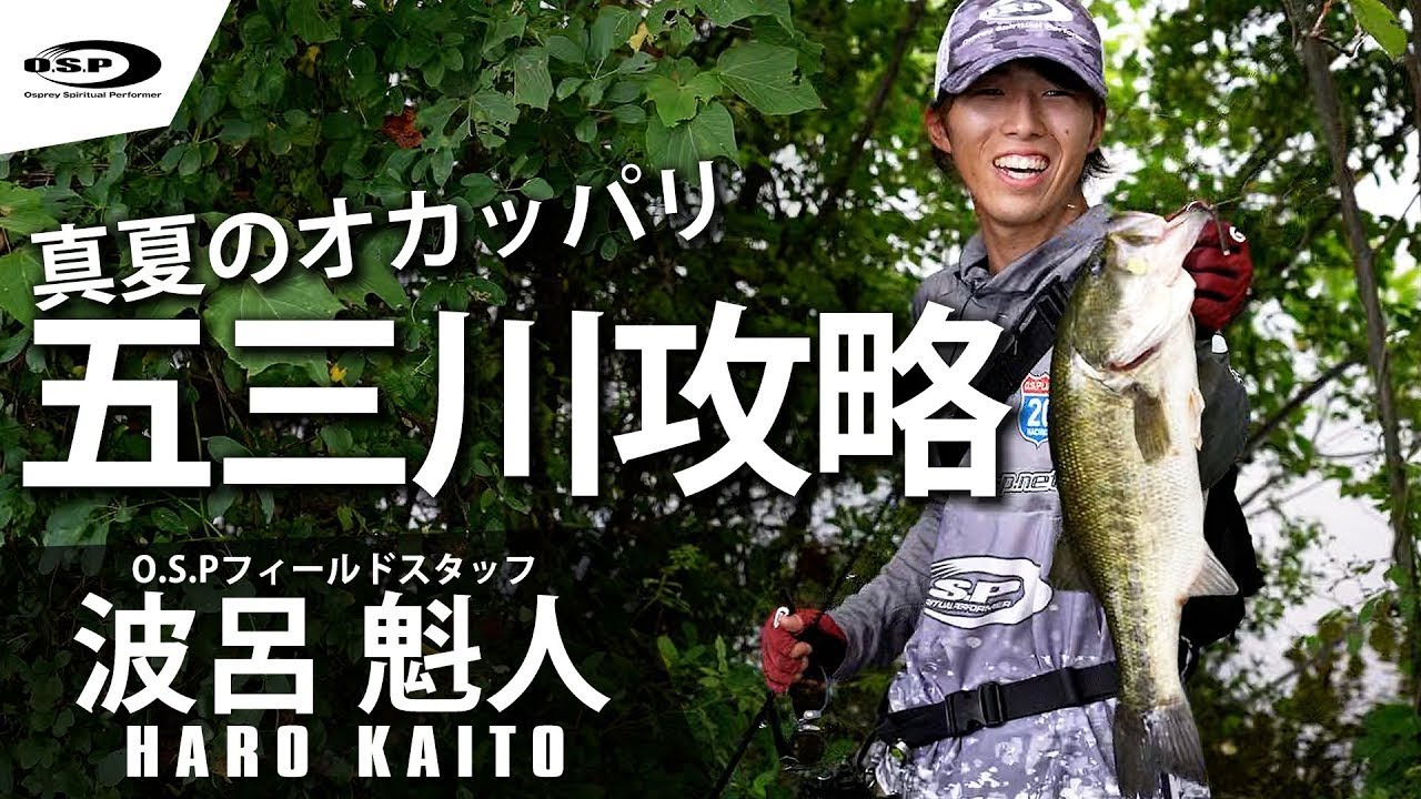 真夏のオカッパリ五三川攻略！朝〜昼〜夕のルアーセレクトでグッドサイズ捕獲！【波呂魁人】