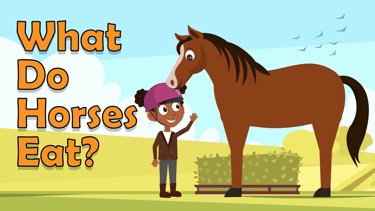 I WONDER What Do Horses Eat | Horses Facts for Kids | Fun Facts about Animals | Fun Facts For Kids