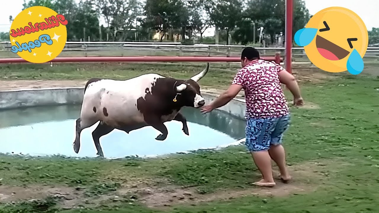 Funny & Hilarious Video People's Life # 116