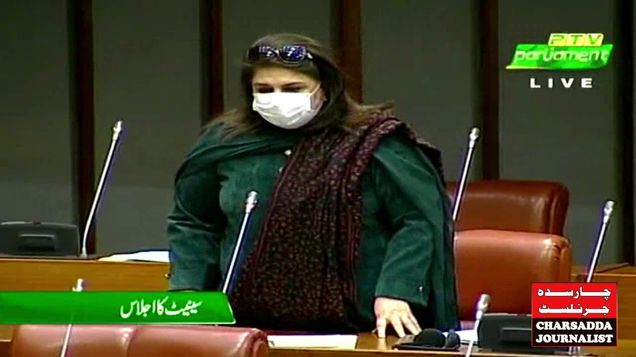 Senate Rubina Khalid Speech In Senate || Charsadda Journalist