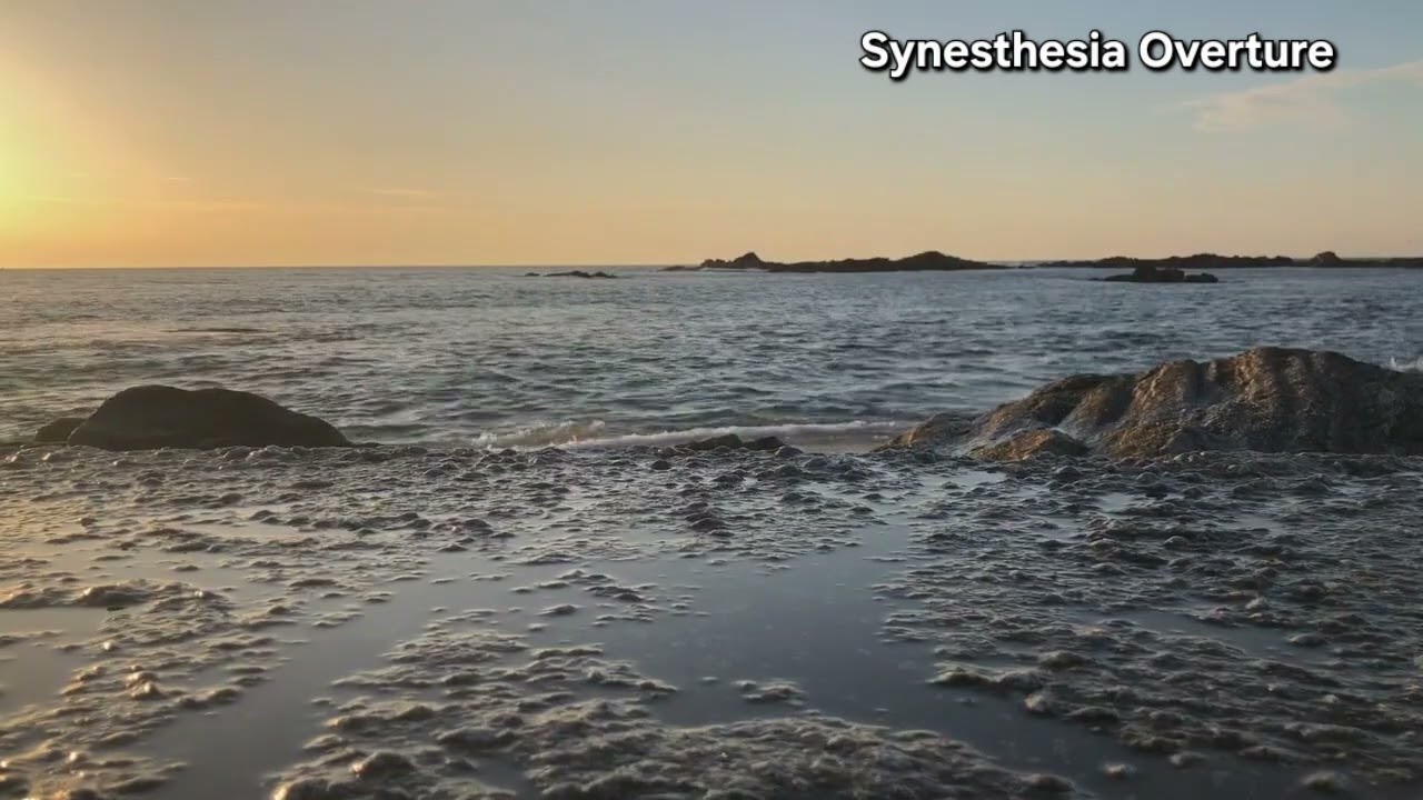 Synesthesia Overture Sleep Music